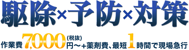 お家まるごと駆除・予防・対策をします！